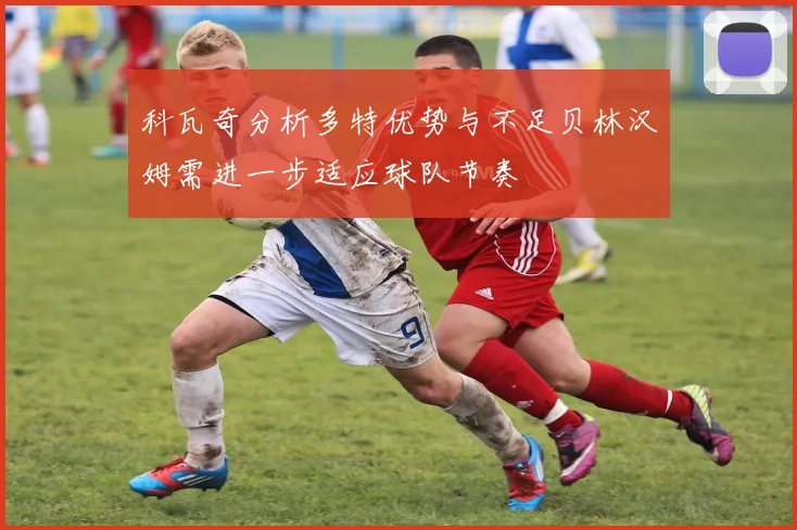科瓦奇分析多特优势与不足贝林汉姆需进一步适应球队节奏