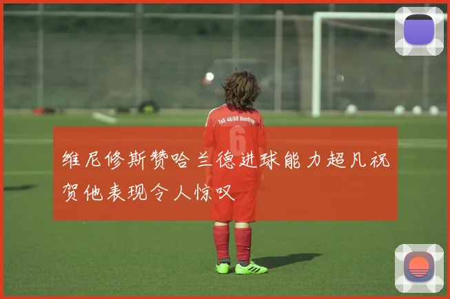 维尼修斯赞哈兰德进球能力超凡祝贺他表现令人惊叹