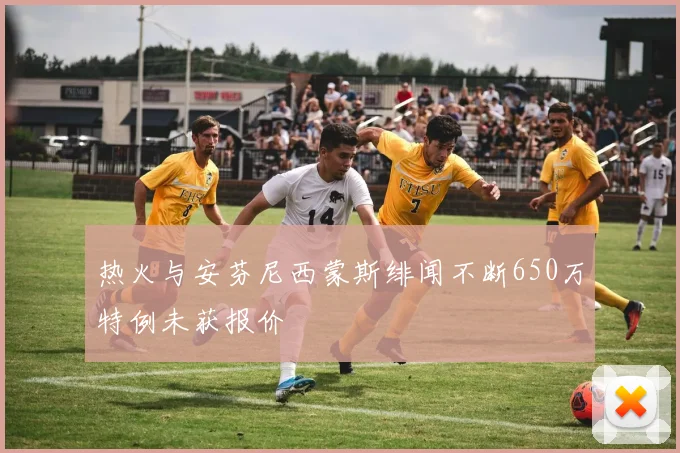 热火与安芬尼西蒙斯绯闻不断650万特例未获报价