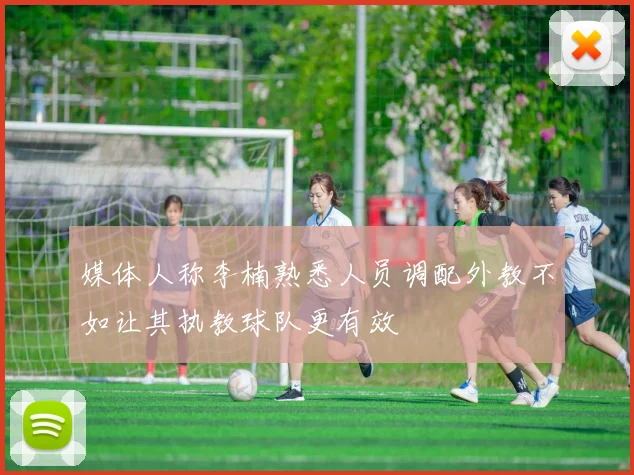 媒体人称李楠熟悉人员调配外教不如让其执教球队更有效